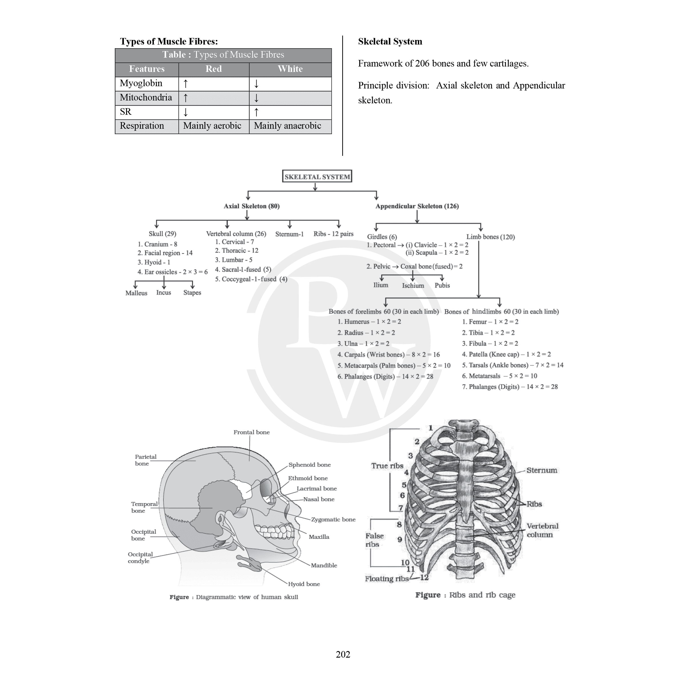CBSE Class 11 Formula Handbook For 2026 Exams | Chapterwise Key Formulas | Physics, Chemistry, Biology and Mathematics | Conceptual Summaries & Quick Revision Notes