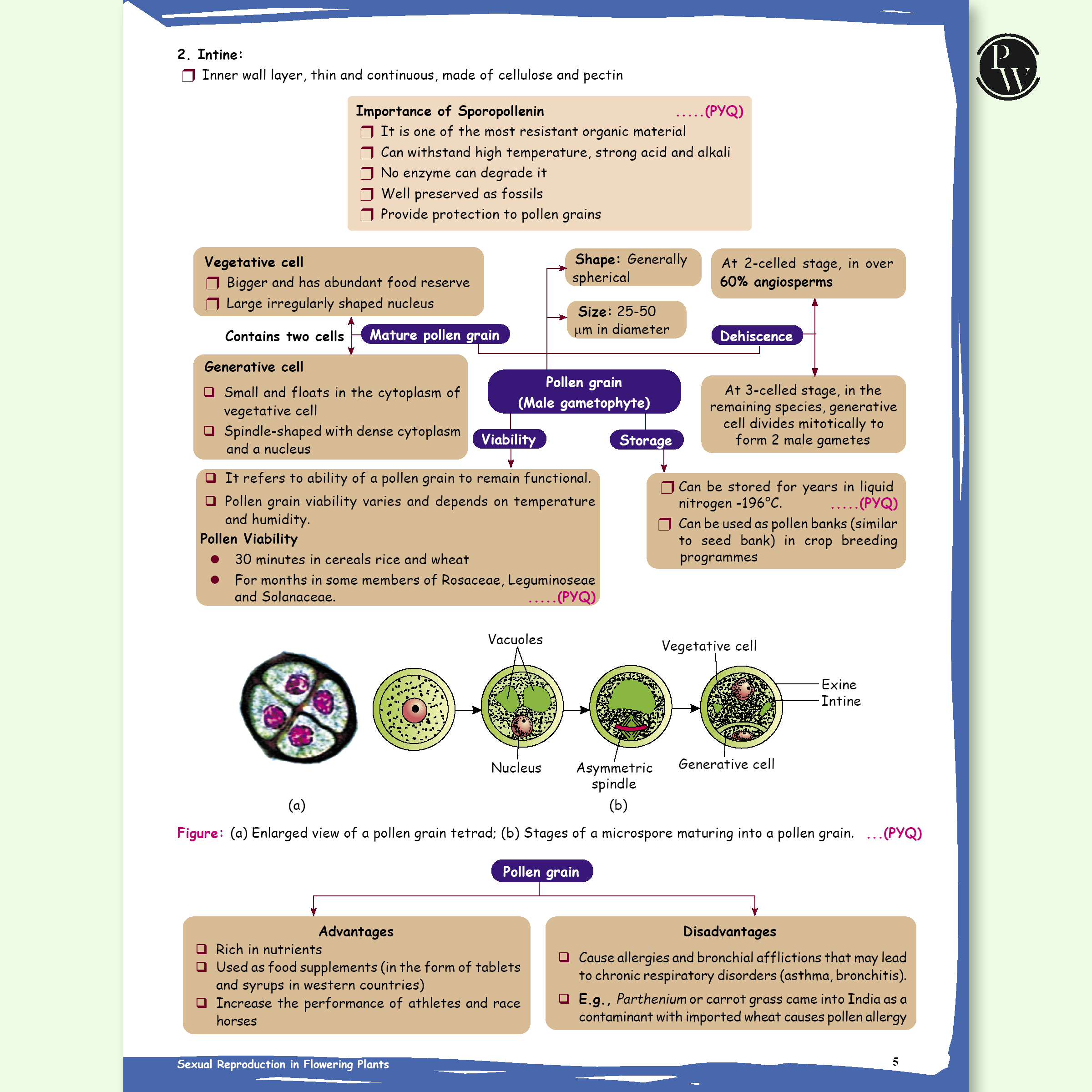 Class 12 Board The Catalyst For Biology with Most Relevant Practice Questions Booklet By Samapti Mam & Yashika Mam For 2026 Exam | Handwritten Notes | Detailed Theory, PYQs