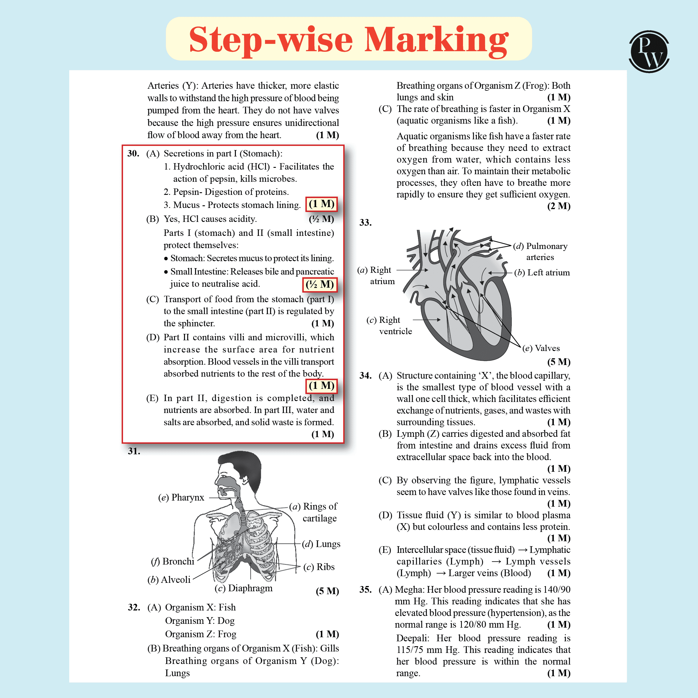 CBSE Class 10 Competency Based Question Bank For Board Exam l Science, Mathematics, Social Science | 1500+ Real Life Applications Based Questions| Aligned with Latest CBSE SQP 2024-25
