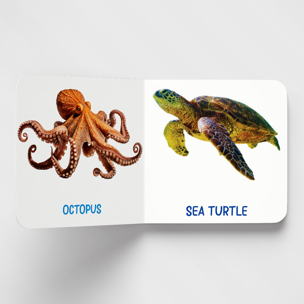 Kids First Library Box Set of 20 Board Books l Gift Set for Children Ages 1, 2, 3, 4, 5 Years