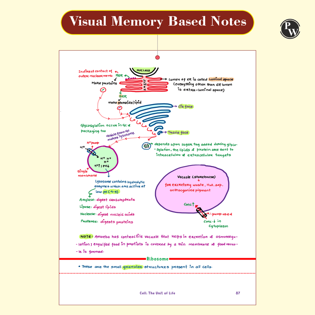 Handwritten notes