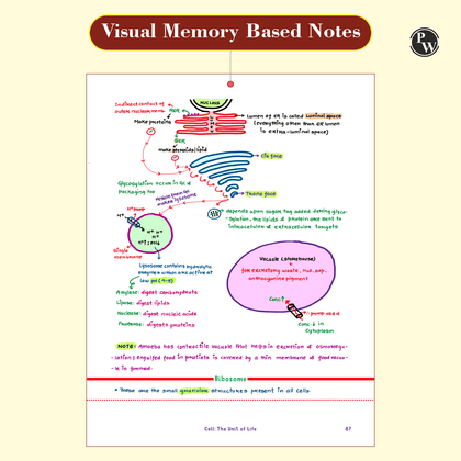 Handwritten notes