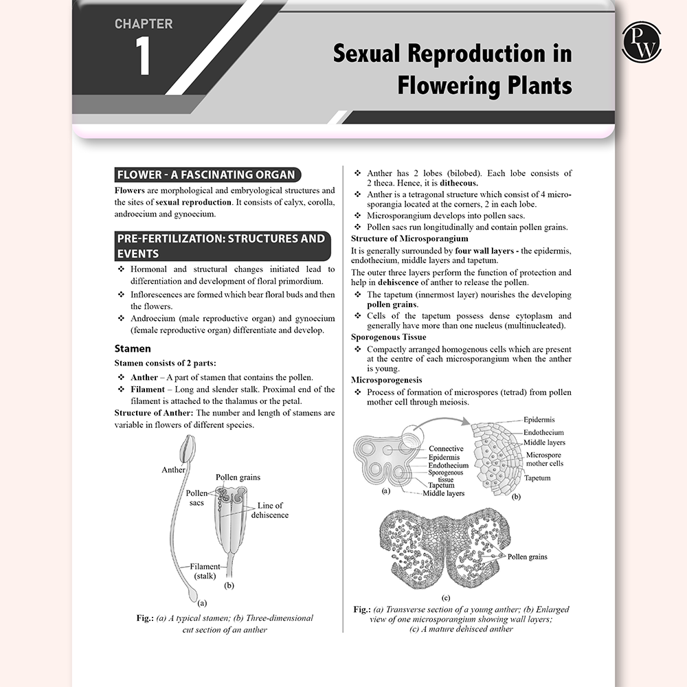 Sprint NEET Crash Course Class 12 Physics, Chemistry, Biology Combo Set of 3 Books For 2025-2026 Exams l 60 Days Study Plan l Crisp Theory & Levelwise Questions