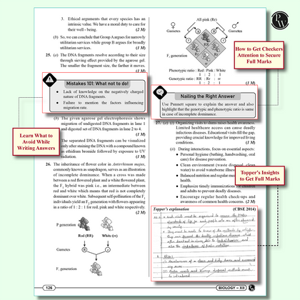 Cbse Sample Paper 12th 2025
