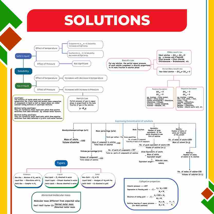 Mind Maps NEET 2024