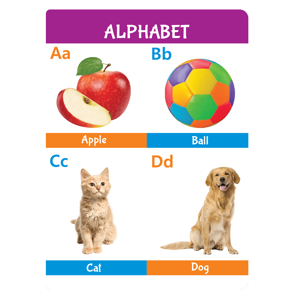 Kids First 4 in 1 Padded Board Book l Colors, Shapes, Alphabet, Numbers l Early Learning Picture Book for Children Ages 1, 2, 3, 4, 5 Years