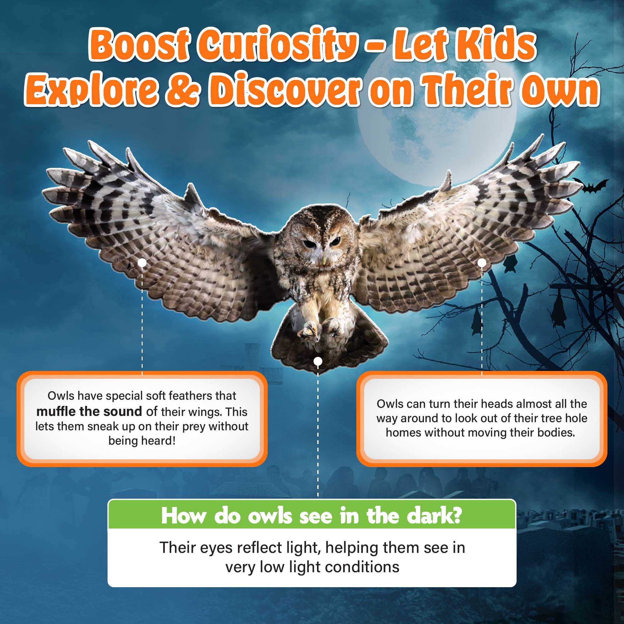 First Encyclopedia Life On Earth - Human Body, Animals, & Plants For Kids| Kids Encyclopedia Activity Book for 5-10 Years Old | Colorful Pictures and General Knowledge Book-PW Kids