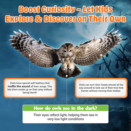 Activity books kid's