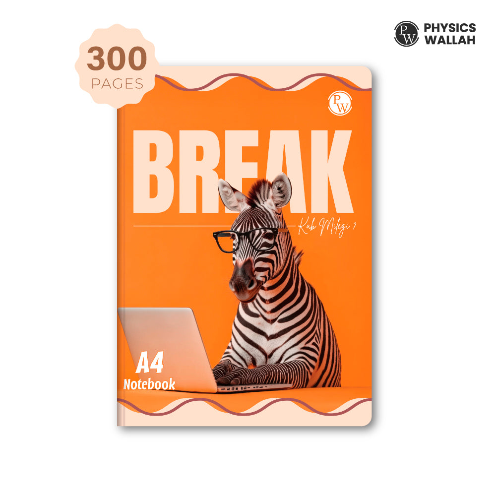 300 Pages A4 Notebook | Single Line Ruled set of 4 | Ruled Notebook for School, College & Office Use | Smooth Paper | Durable Cover