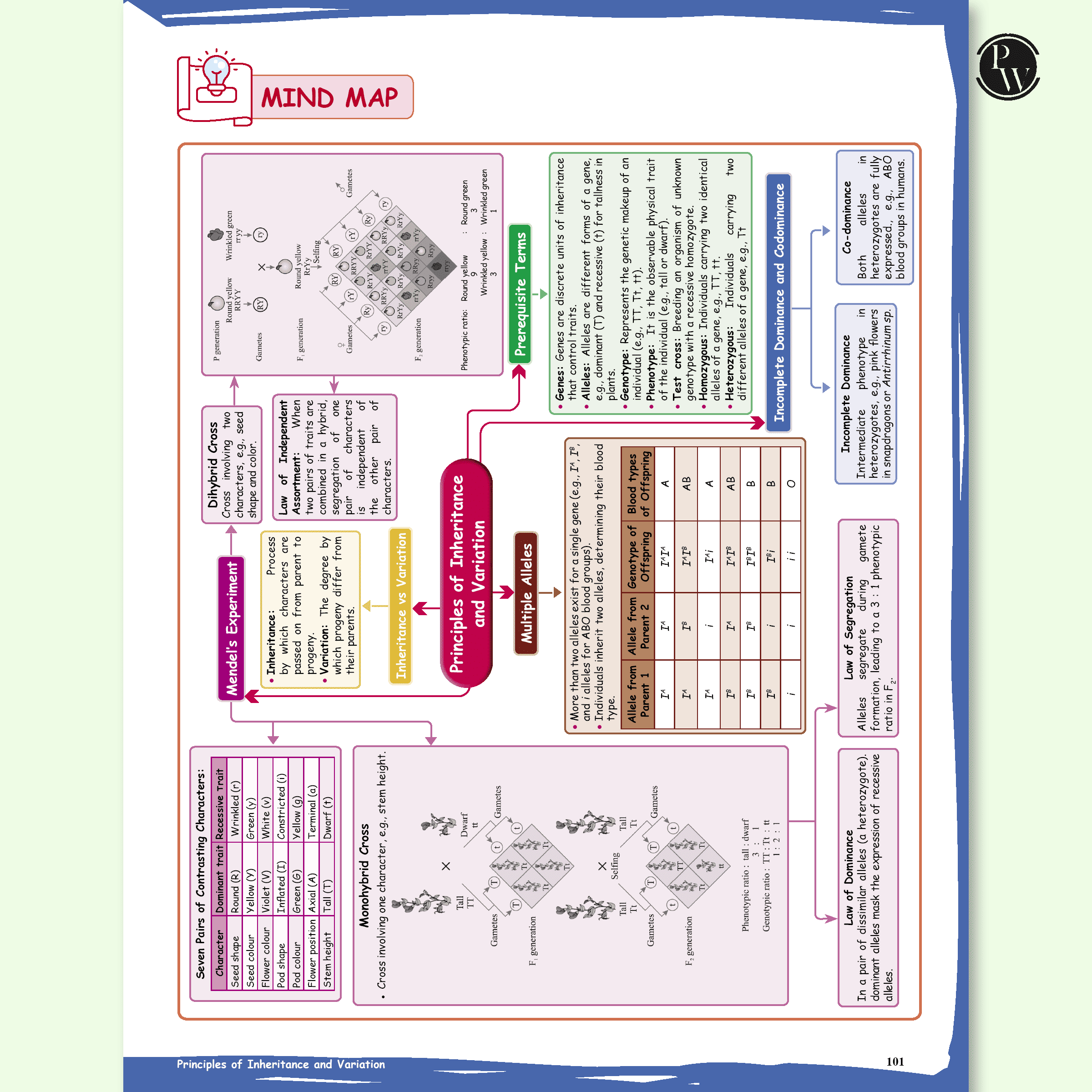 Class 12 Board The Catalyst For Biology with Most Relevant Practice Questions Booklet By Samapti Mam & Yashika Mam For 2026 Exam | Handwritten Notes | Detailed Theory, PYQs