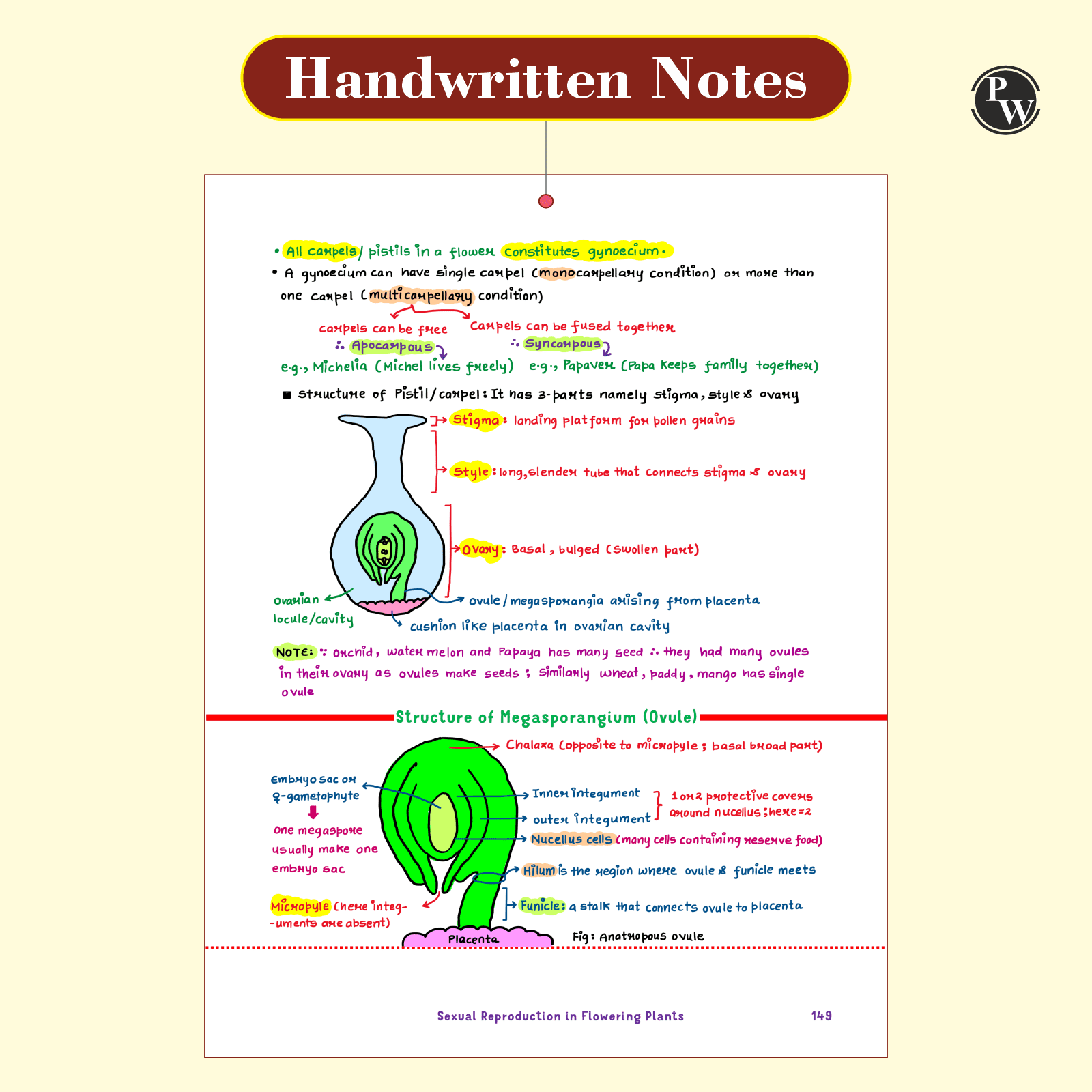 Botany Med Easy Dr. Vipin Sharma Handwritten Notes | Flow Charts, Mindmaps, Mnemonics for NEET & Board Exams as per latest NMC NEET Syllabus