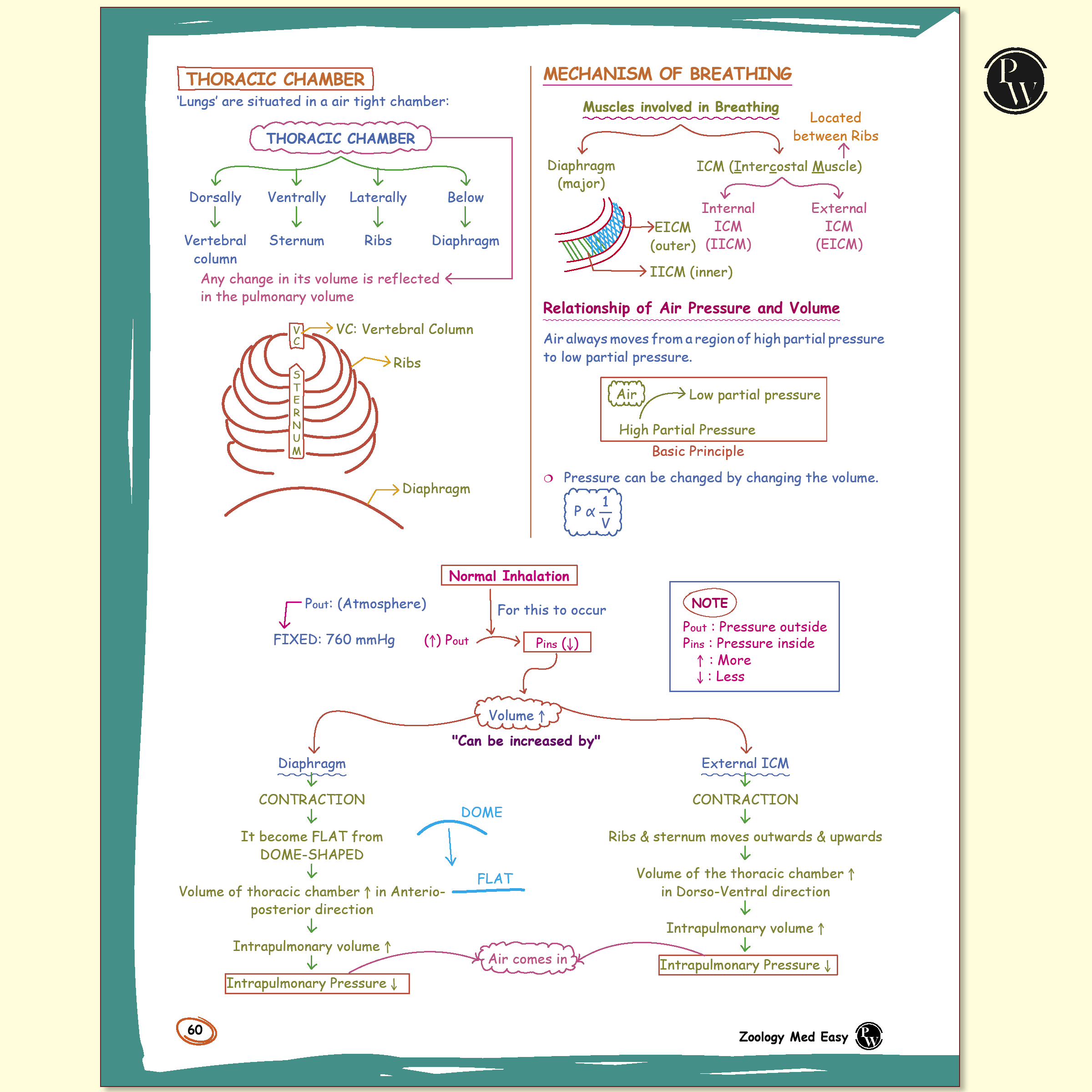 Zoology Med Easy 2.0 By Samapti Sinha Ma’am and Easy Handwritten Notes Inorganic Chemistry By Om Pandey Combo Set of 2 Books For NEET and Board Exams 2025-26