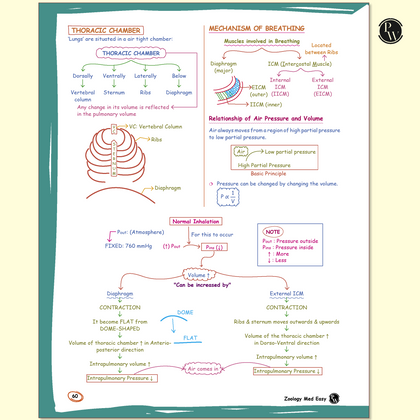 NEET Revision Books