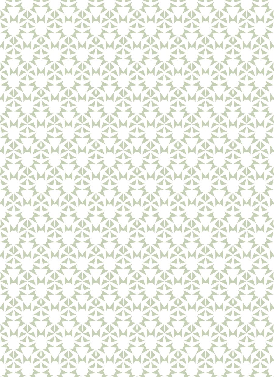 Packaging Material