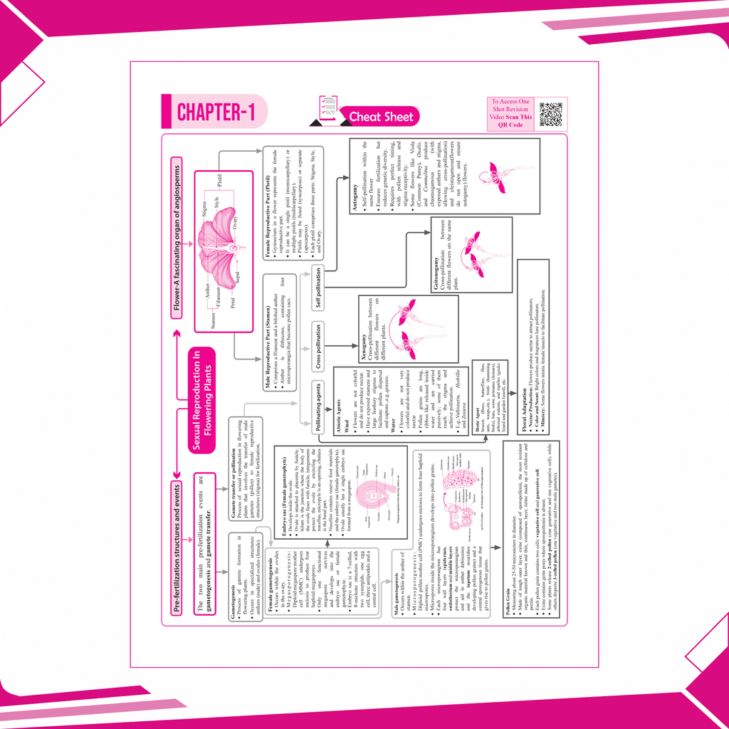 CBSE 15 Sample Question Papers Class 12 Biology for 2025 Exam | Competency-Based Learning | PYQ 2024 with Topper's Explanations, CBSE SQP & CBSE Practice Questions