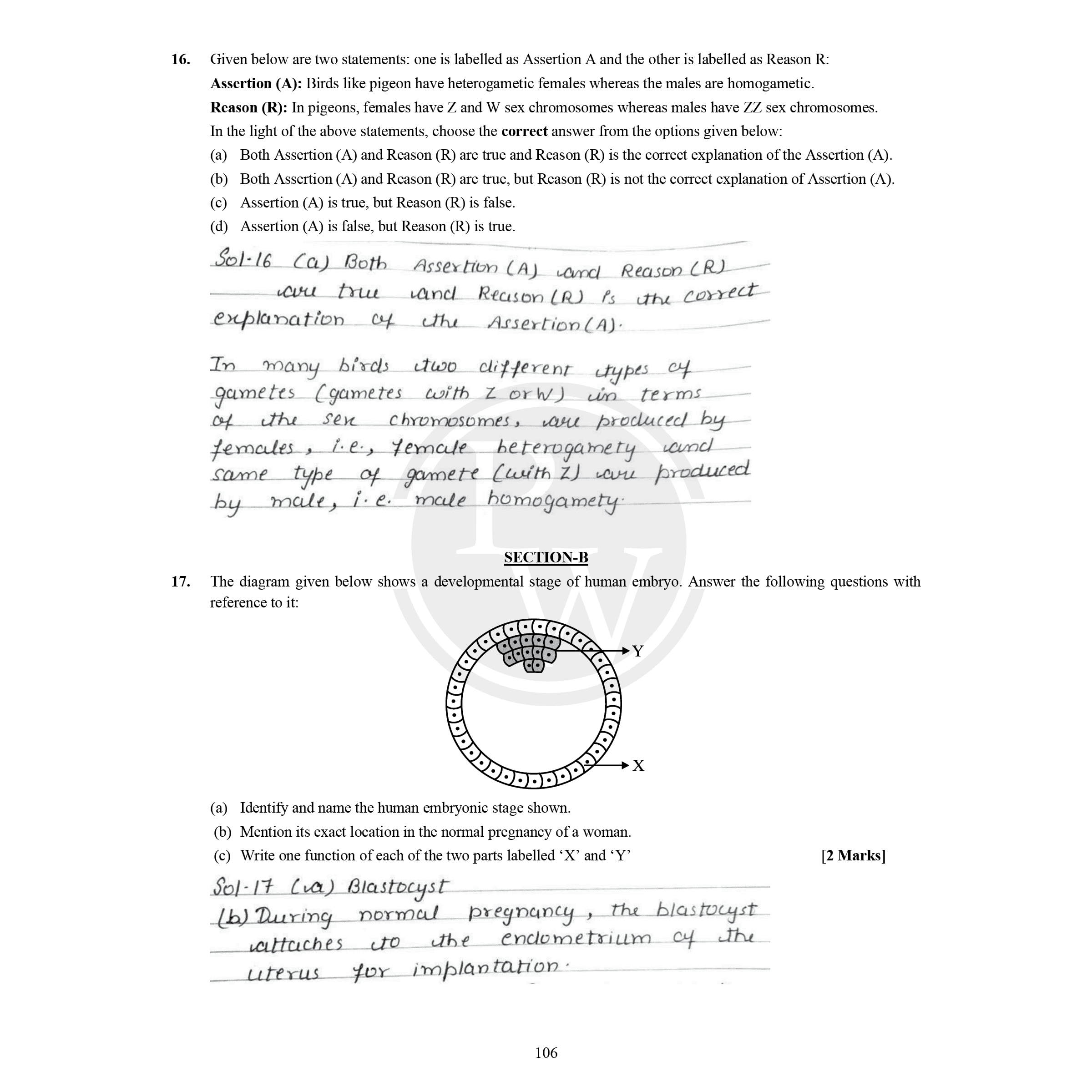 CBSE Class 12 Topper’s Answer Sheet (2023 and 2024 Papers) For 2026 Exams | Covering Physics, Chemistry, Biology and Mathematics