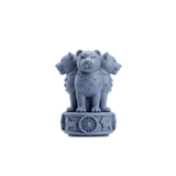 PG/Govt Entrance Exams