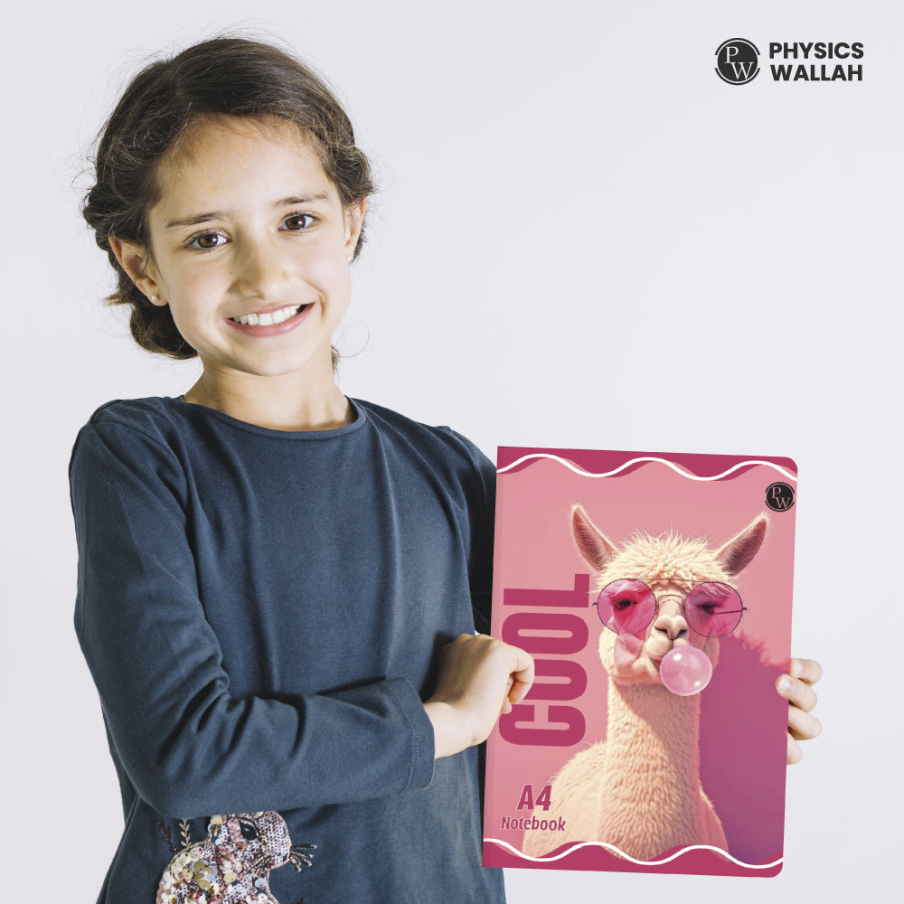 240 Pages A4 Notebook | Unruled set of 4 |  Notebook for School, College & Office Use | Smooth Paper | Durable Cover