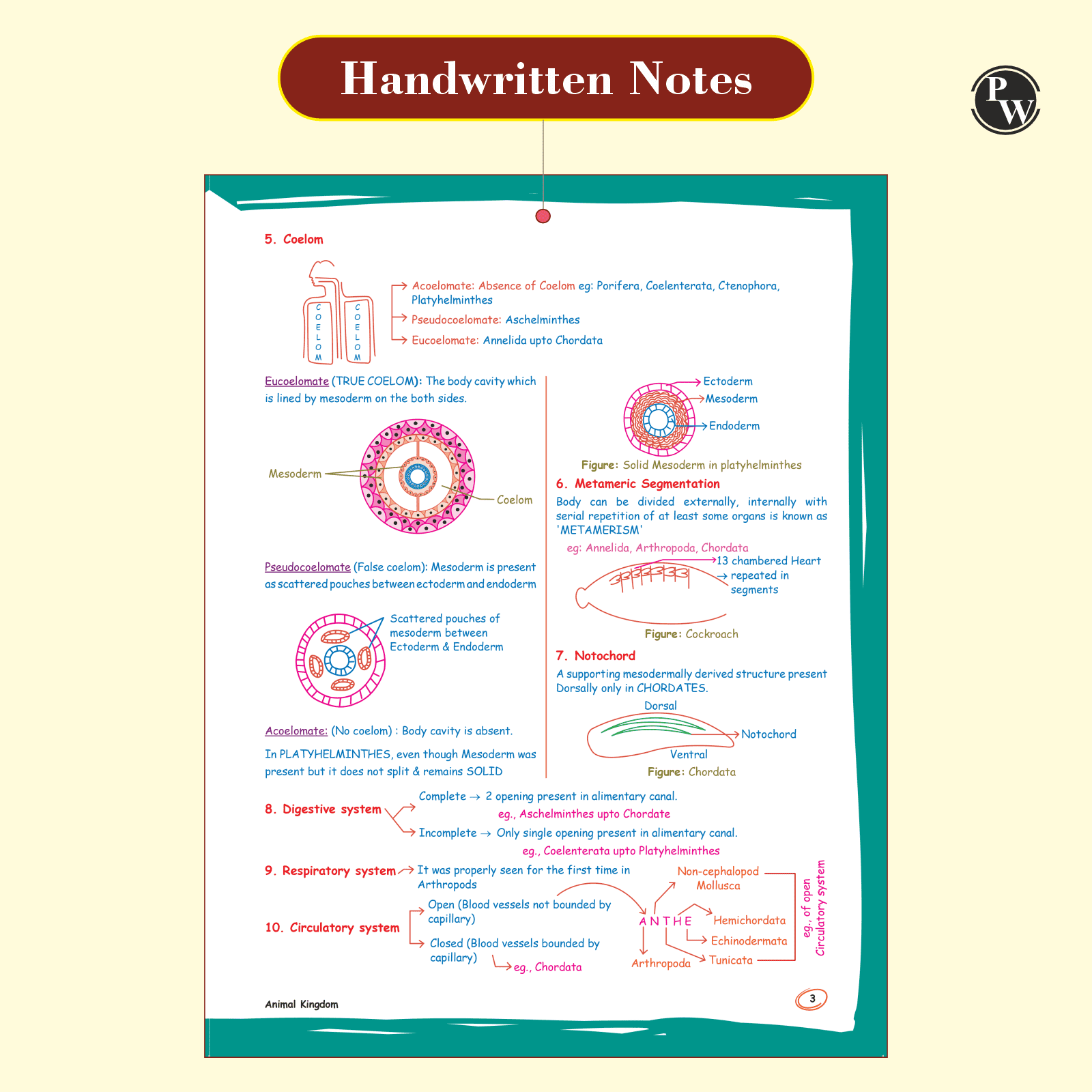 Zoology Med Easy For NEET and Board Exams 2024-25 | Flowcharts, Schematic Diagrams Samapti Sinha Mahapatra Handwritten Notes