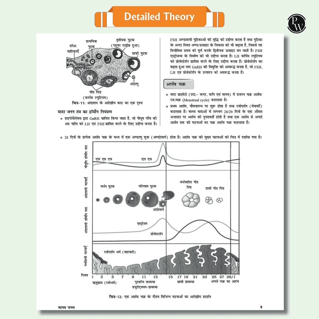 Lakshya For NEET Hindi Edition Class 12 Physics, Chemistry, Botany and Zoology Modules Combo Set of 10 Books (2025 Edition)