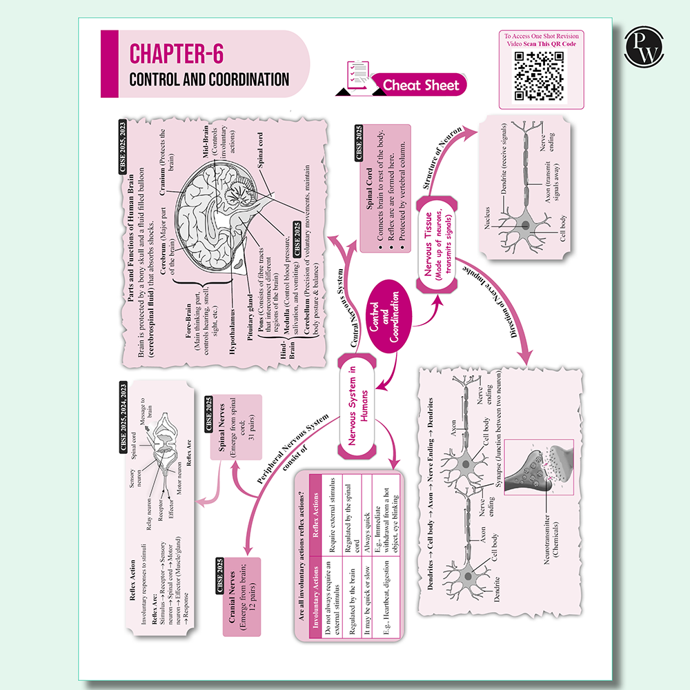 PW CBSE Class 10 Sample Papers Combo of 2 Books - Science & Maths Standard for 2026 Exams ( As Per Latest SQP Dated 30 July 2025)