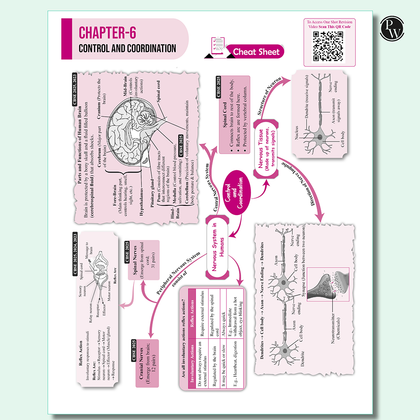CBSE class 10 Sample paper combos