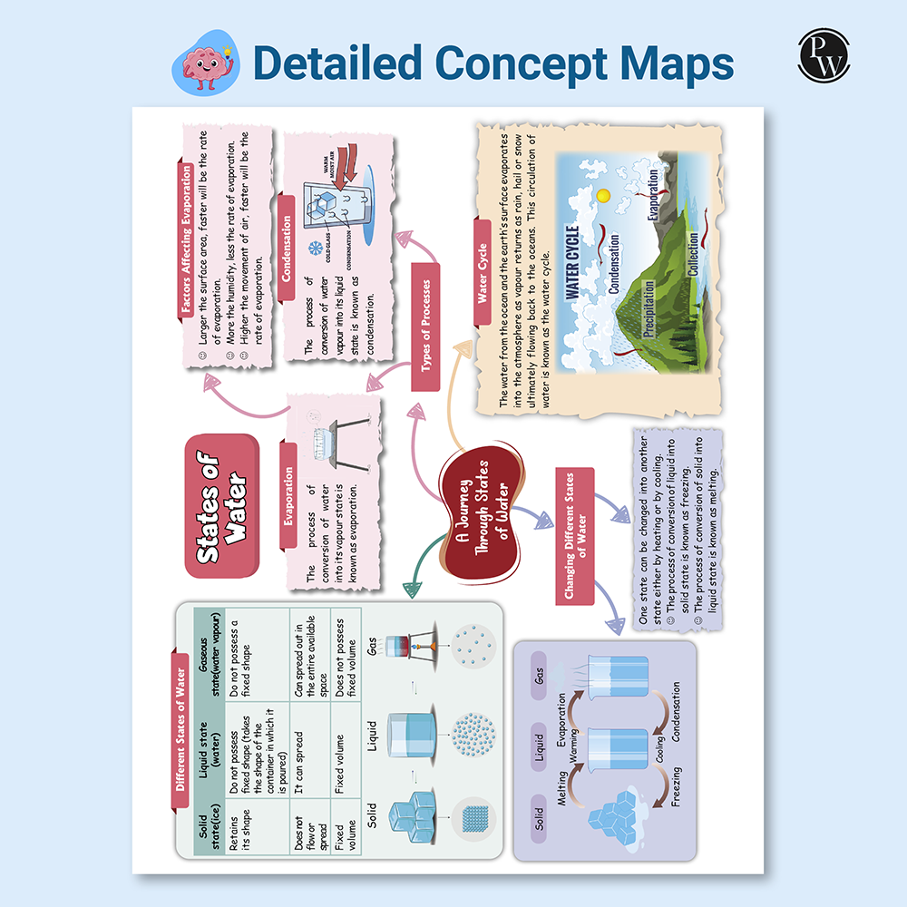 Olympiad Plus Workbook For Class 6 Science and Mathematics Prepguide & PYQs Combo Set of 2 Books | NSO, ISO, iOS, Hindustan Olympiad, NSTSE, IMO, iOM, SEAMO, ISTSE and Others