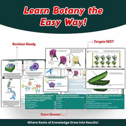 NEET Revision Books