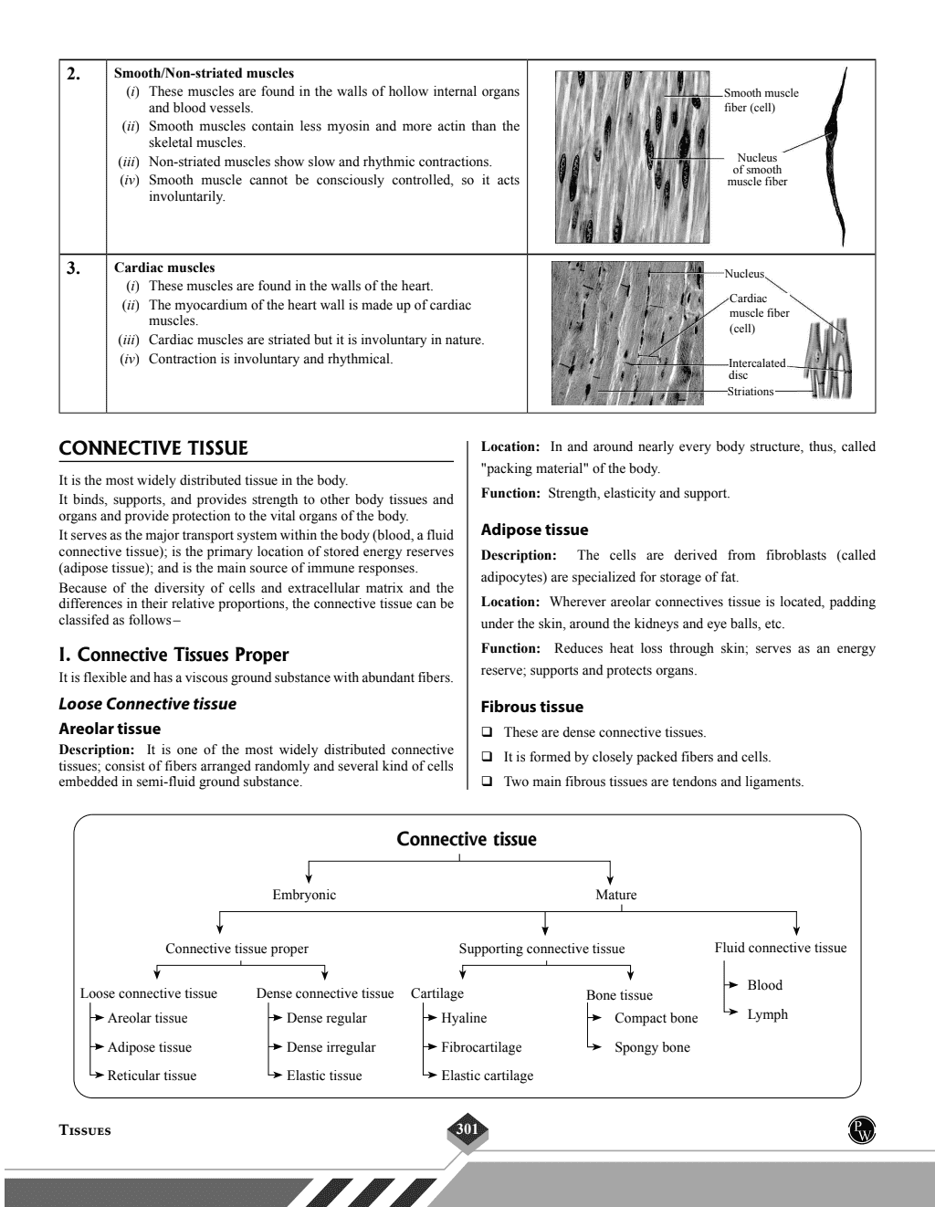 Shaurya NDA/NA General Ability General Knowledge Book | National Defence Academy & Naval Academy Entrance Examination