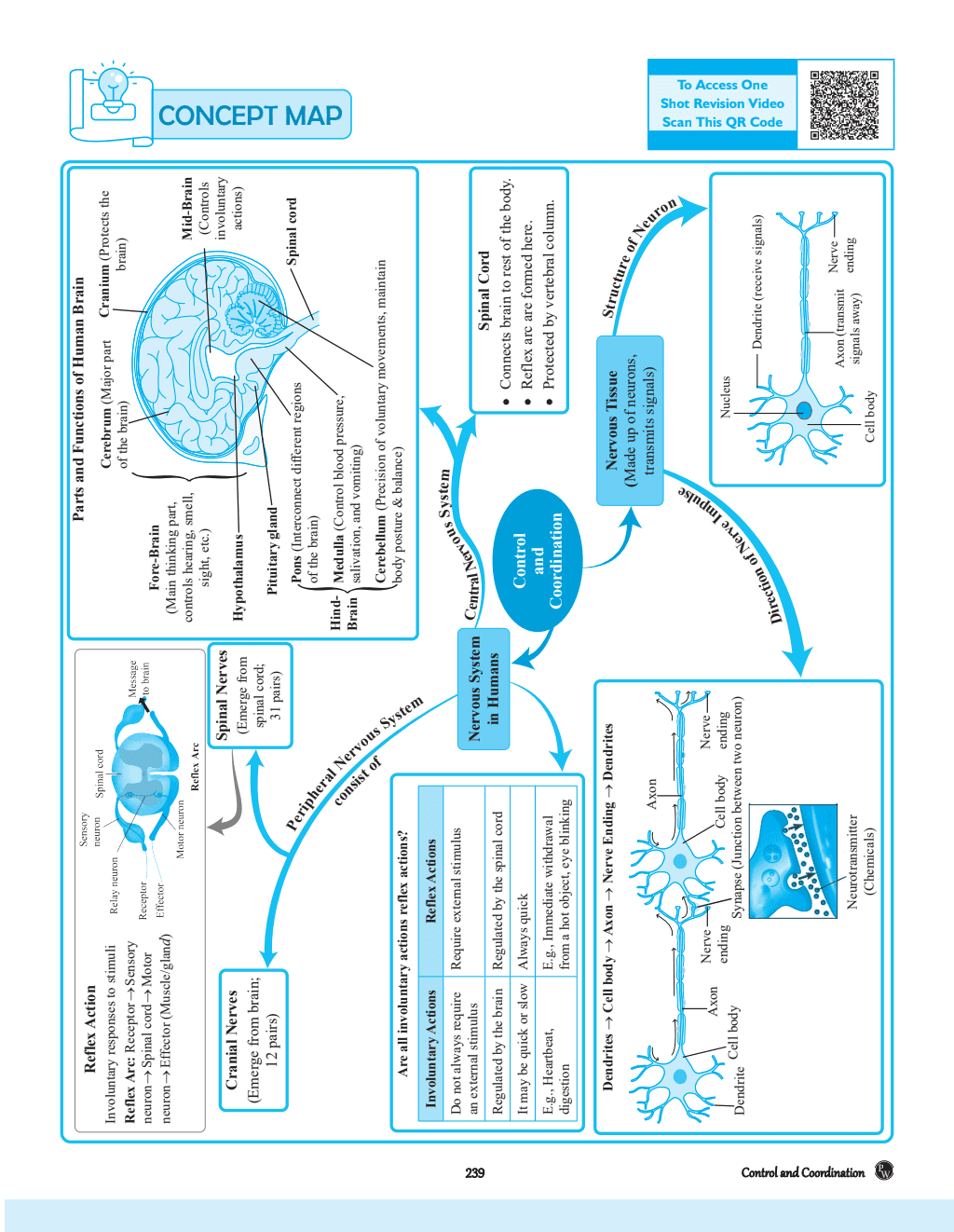 CBSE Question and Concept Bank (QCB) Class 10 Science For 2025 Board Exams Chapterwise and Topicwise Solved Questions