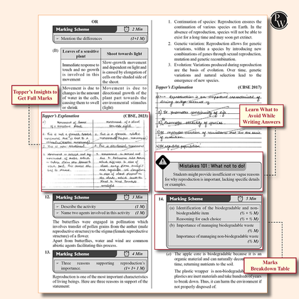 CBSE class 10th  Sample papers
