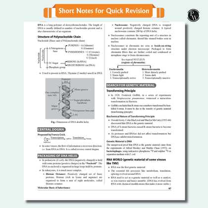 Arjuna 11 NEET Modules 2025