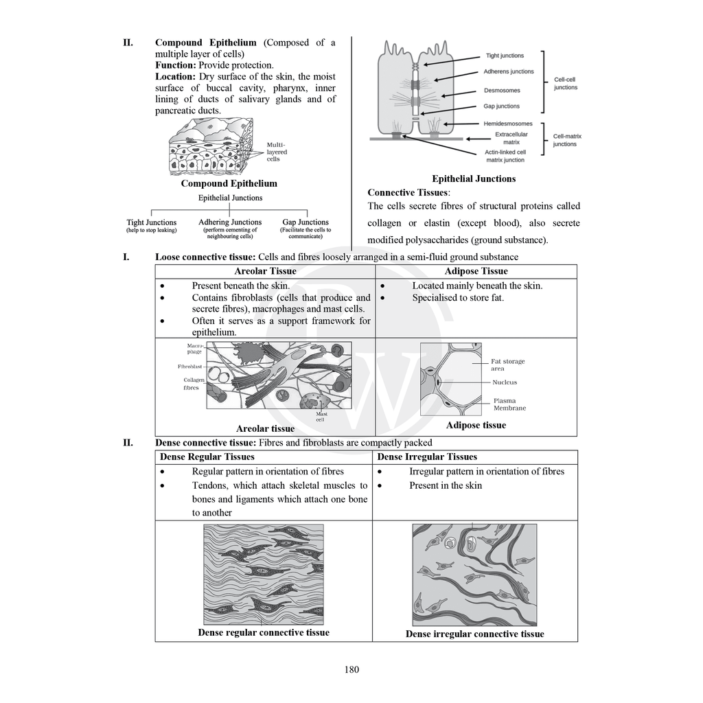 CBSE Class 11 Formula Handbook For 2026 Exams | Chapterwise Key Formulas | Physics, Chemistry, Biology and Mathematics | Conceptual Summaries & Quick Revision Notes