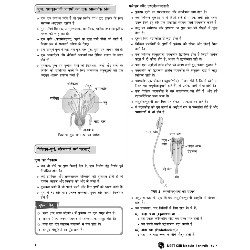 Lakshya For NEET Hindi Edition Class 12 Botany Module 1 & 2 and Zoology Module 1 & 2 Combo Set of 4 Books (2025 Edition)