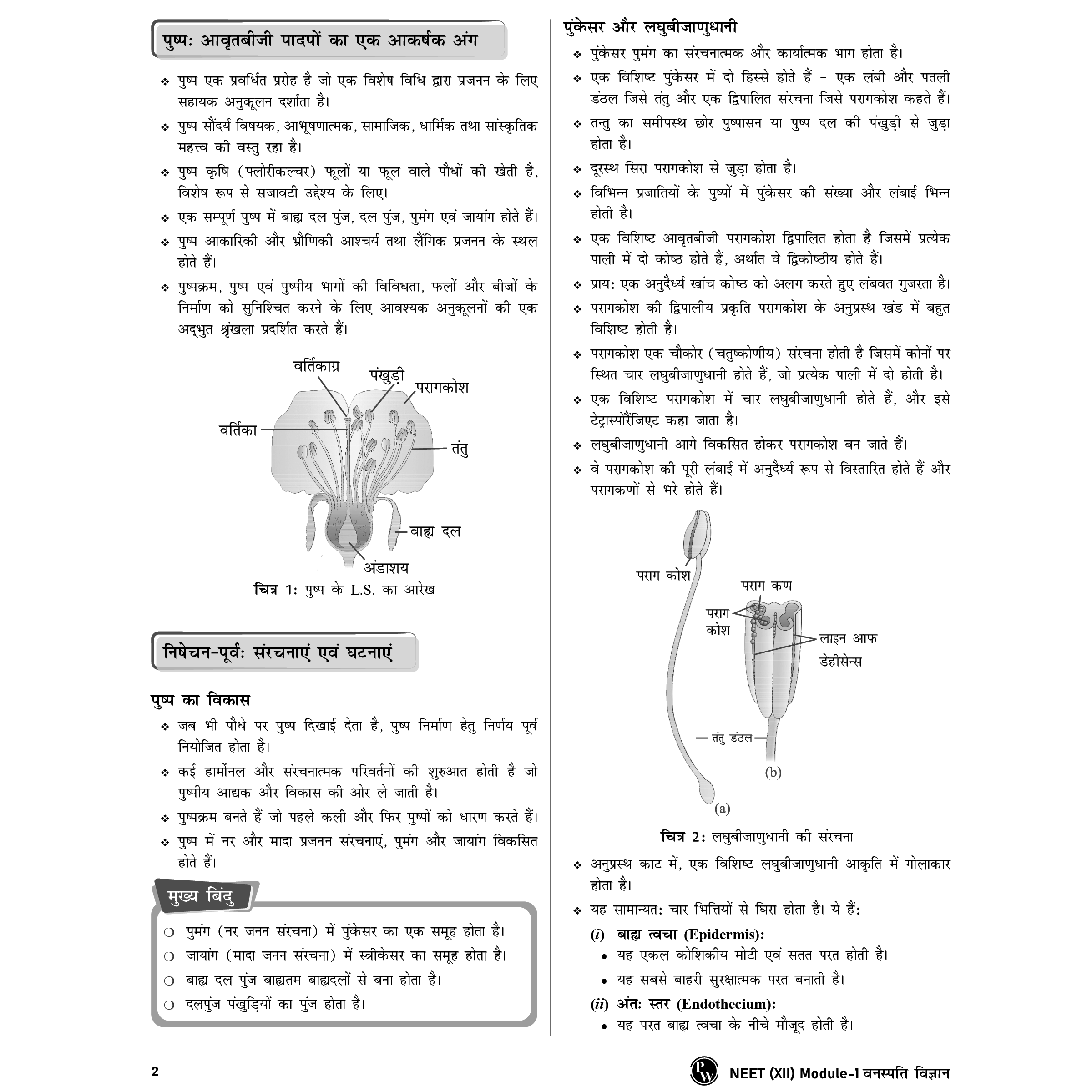 Lakshya For NEET Hindi Edition Class 12 Botany Module 1 & 2 and Zoology Module 1 & 2 Combo Set of 4 Books (2025 Edition)