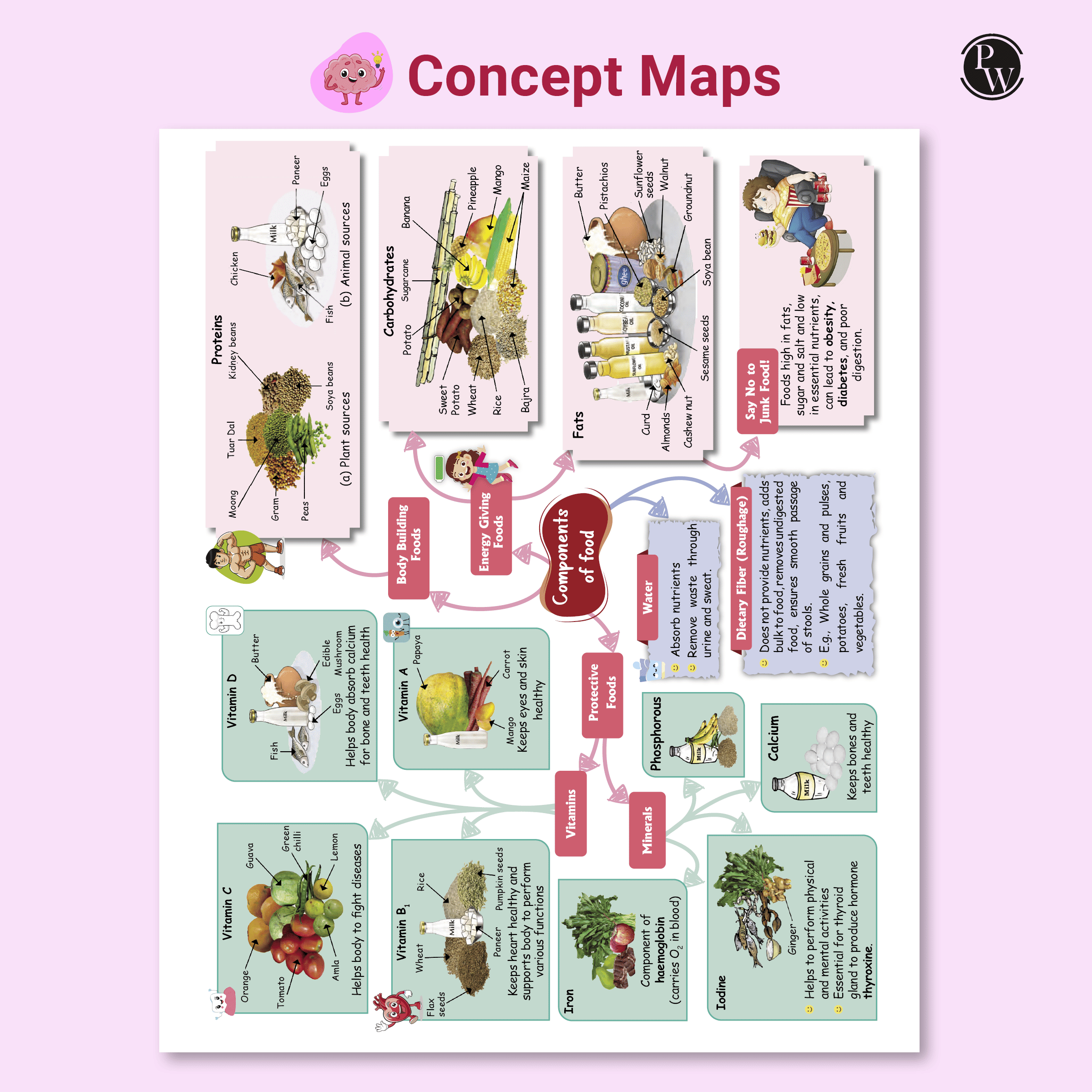 Olympiad Plus Workbook For Class 6 Science Prepguide, Concept Map, PYQs and Worksheets For After School Practice | NSO, ISO, iOS, Hindustan Olympiad, NSTSE and Others