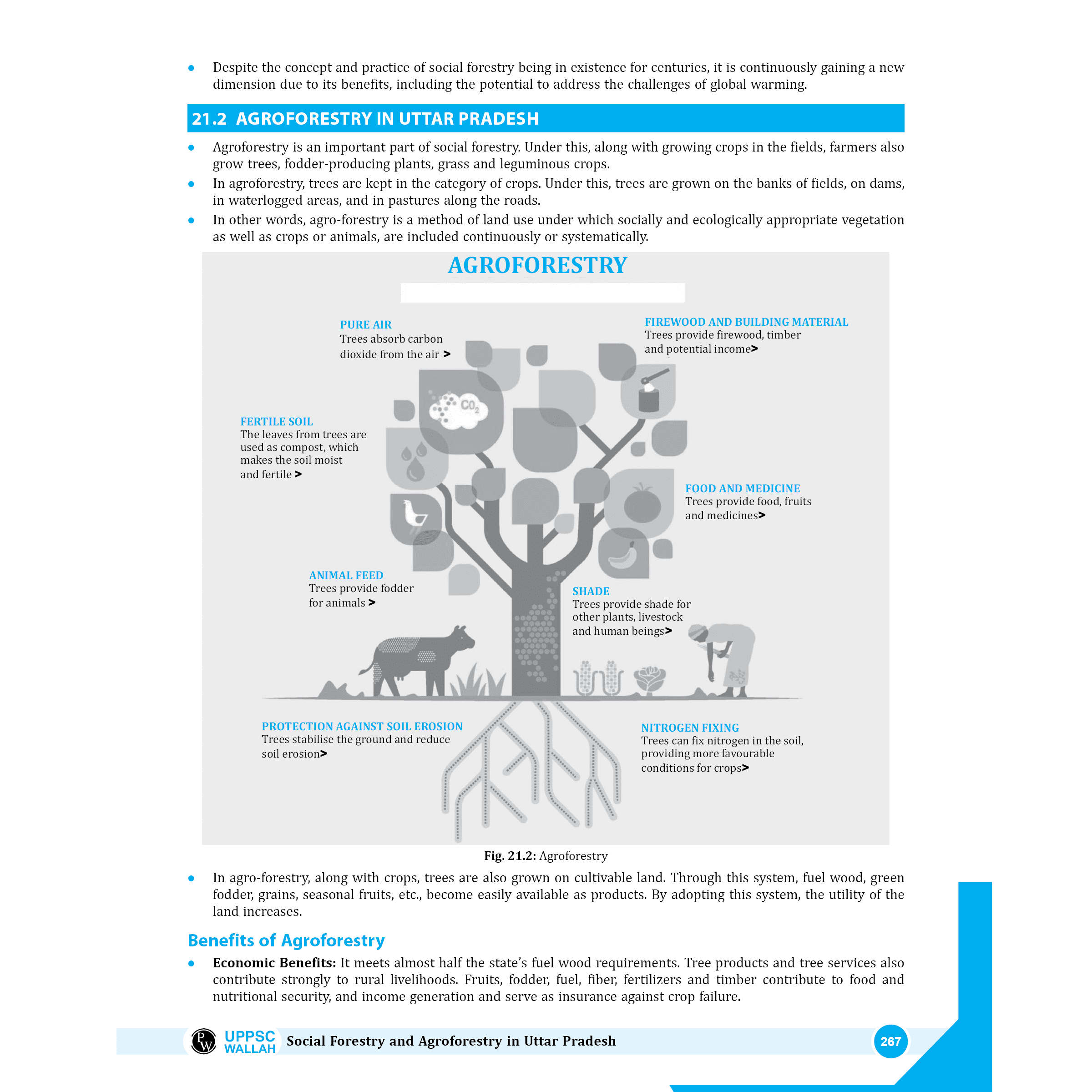 PWONLYIAS UP-PSC Wallah UP Special Paper 5 & 6 Combo Set of 2 Books For Civil Services Exam
