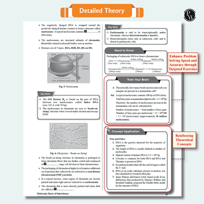 Arjuna 11 NEET Modules 2025