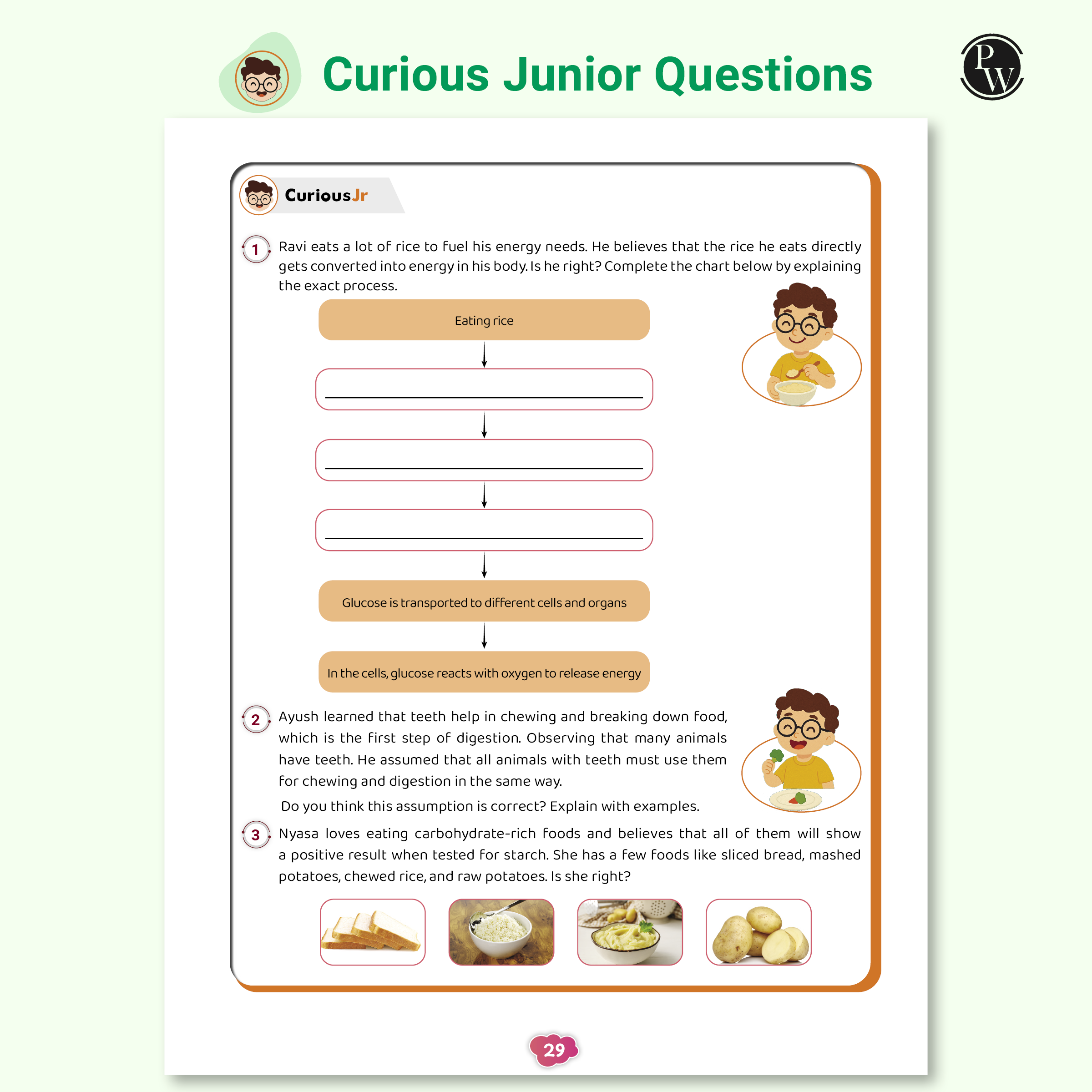 Olympiad Plus Workbook For Class 7 Science and Mathematics Prepguide & PYQs Combo Set of 2 Books | NSO, ISO, iOS, Hindustan Olympiad, NSTSE, IMO, iOM, SEAMO, ISTSE and Others