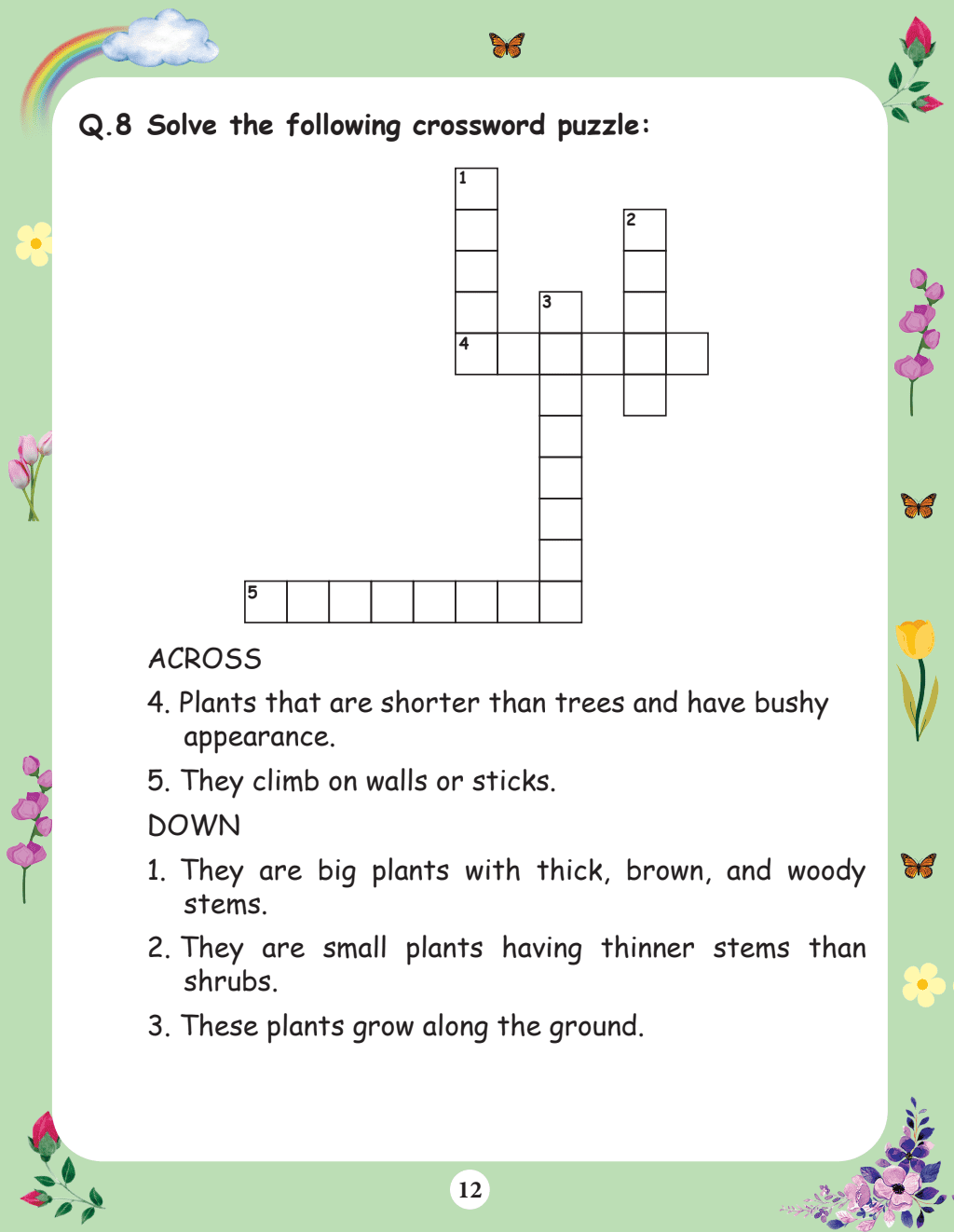 Bloom Grade-1 Workbook Combo | Total 4 Workbooks (Hindi, English, EVS, Maths)-2024 | NEP 2020 Aligned