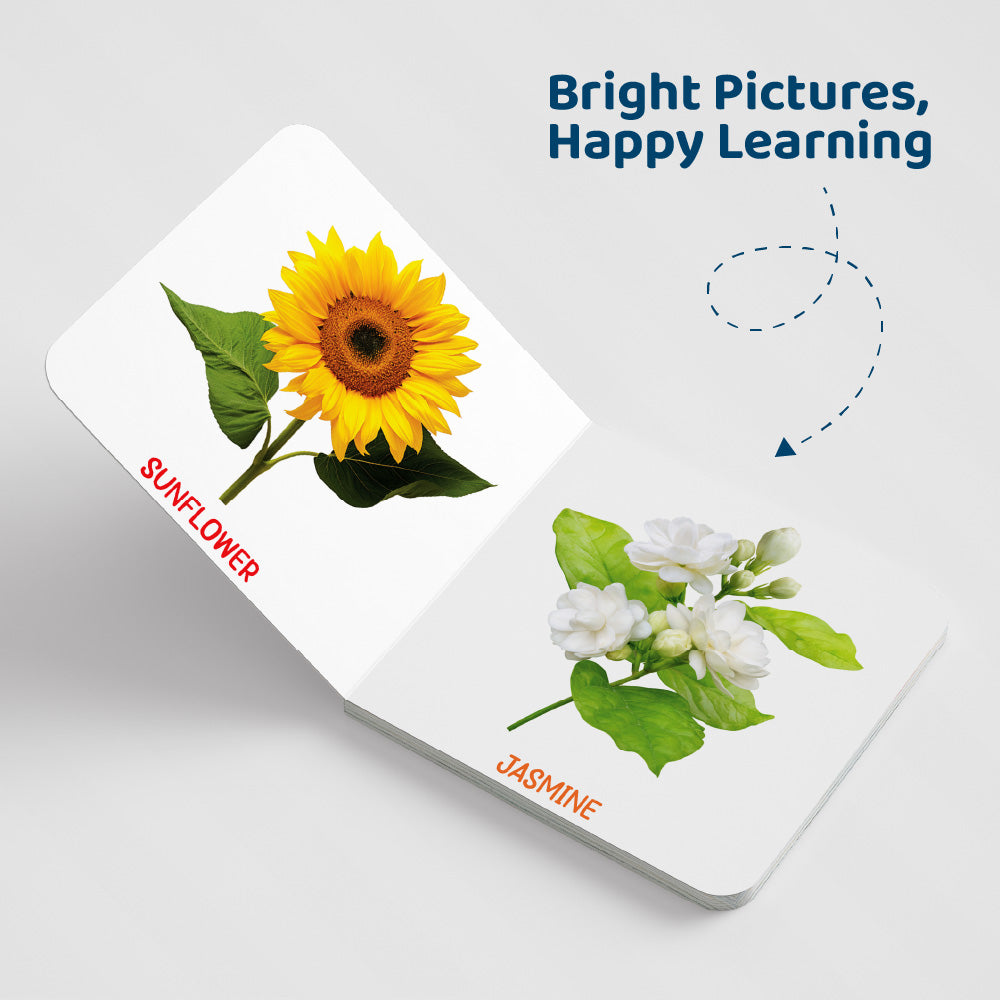 Kids First Library Box Set of 20 Board Books l Gift Set for Children Ages 1, 2, 3, 4, 5 Years