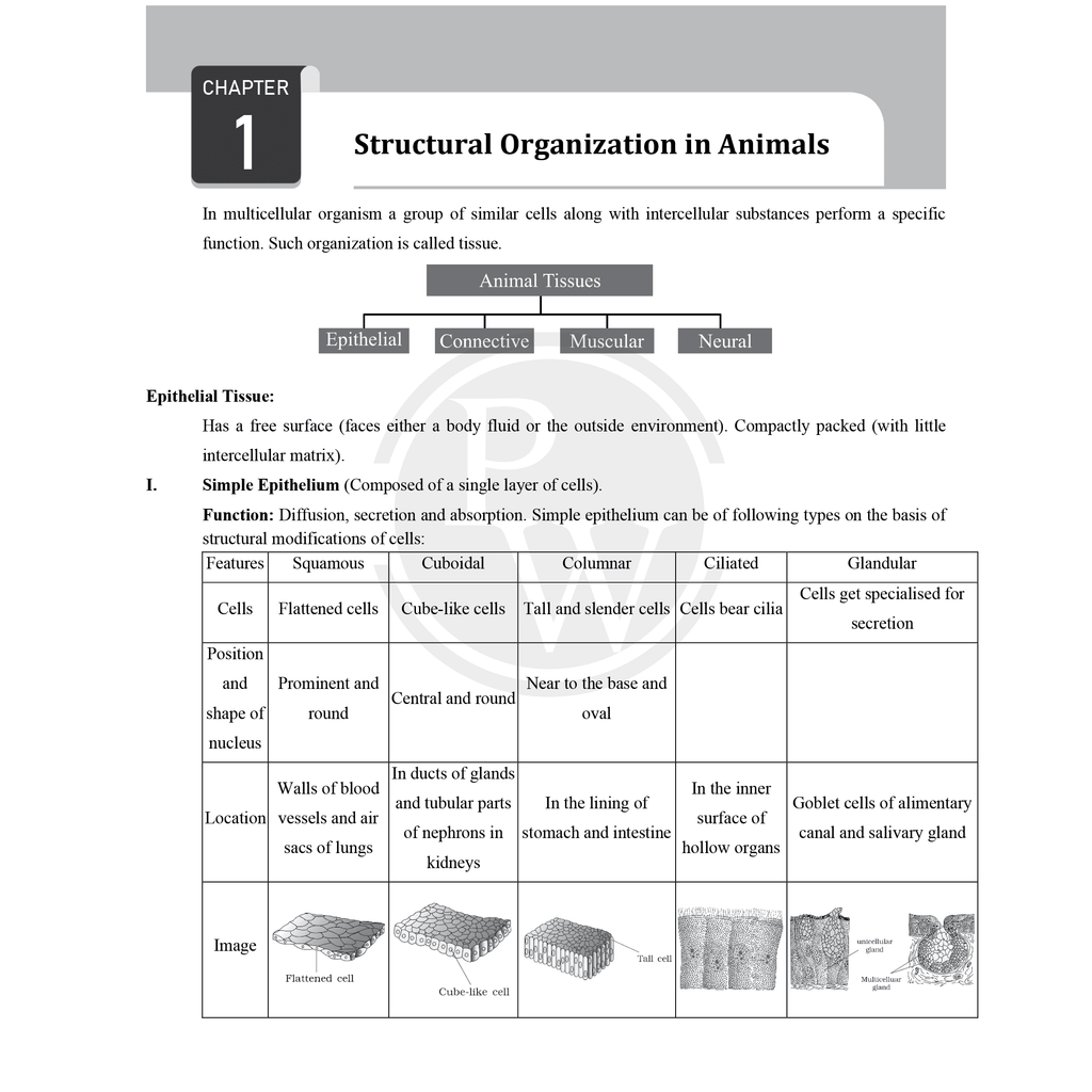 CBSE Class 11 Formula Handbook For 2026 Exams | Chapterwise Key Formulas | Physics, Chemistry, Biology and Mathematics | Conceptual Summaries & Quick Revision Notes
