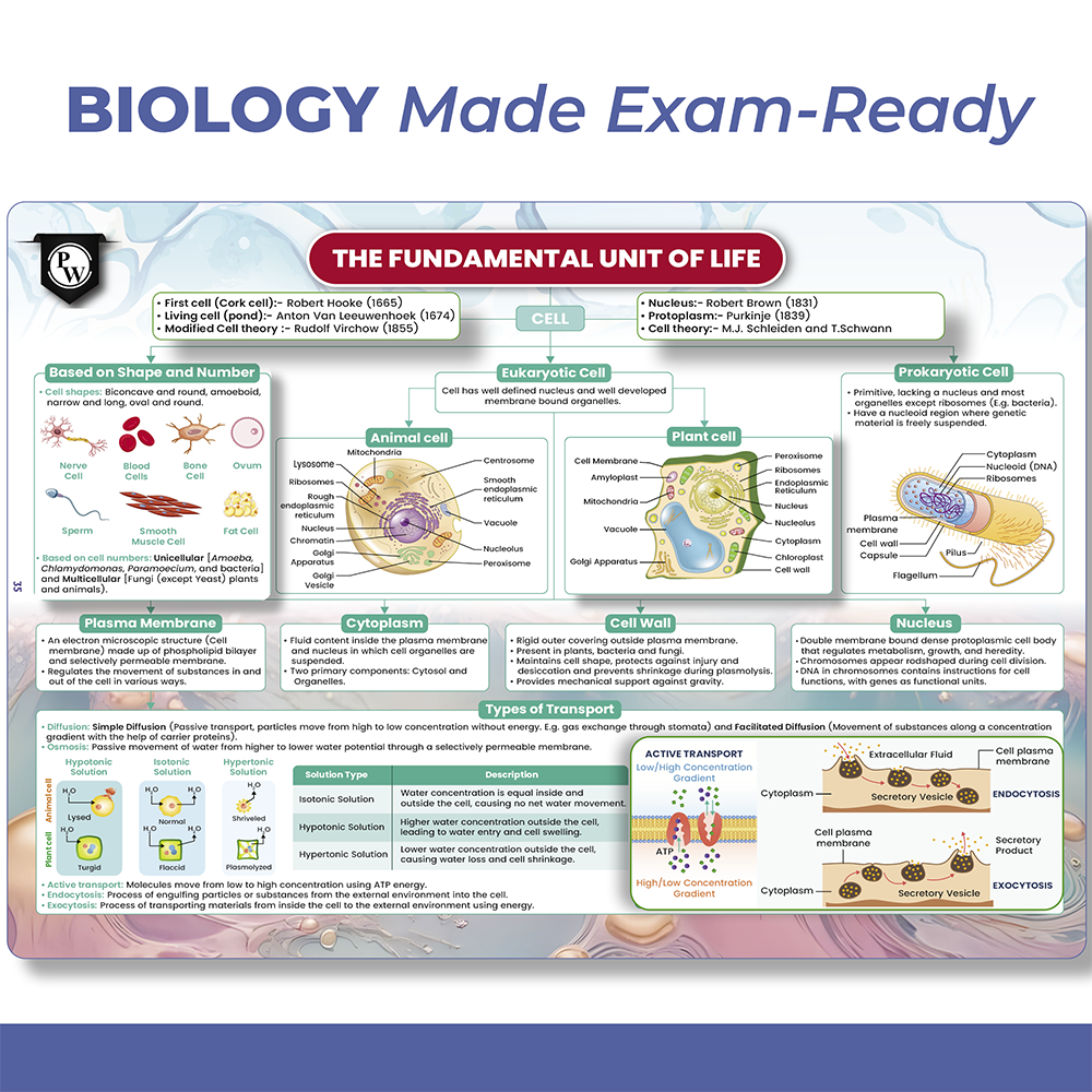 CBSE Class 9 Project 45 Mind Maps For 2025-26 Exams | Science, English, Maths, Social Science | Revision Book