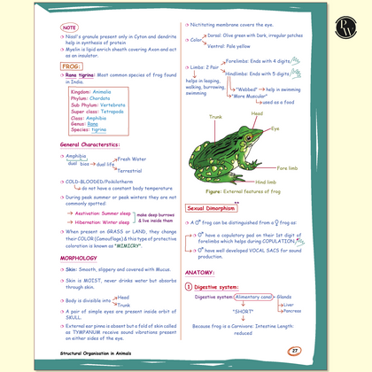 NEET Revision Books