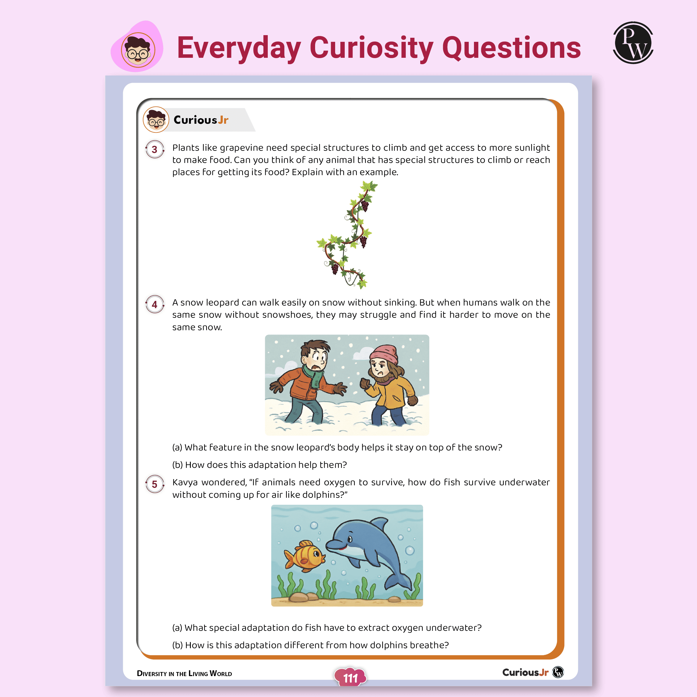 Olympiad Plus Workbook For Class 6 Science Prepguide, Concept Map, PYQs and Worksheets For After School Practice | NSO, ISO, iOS, Hindustan Olympiad, NSTSE and Others