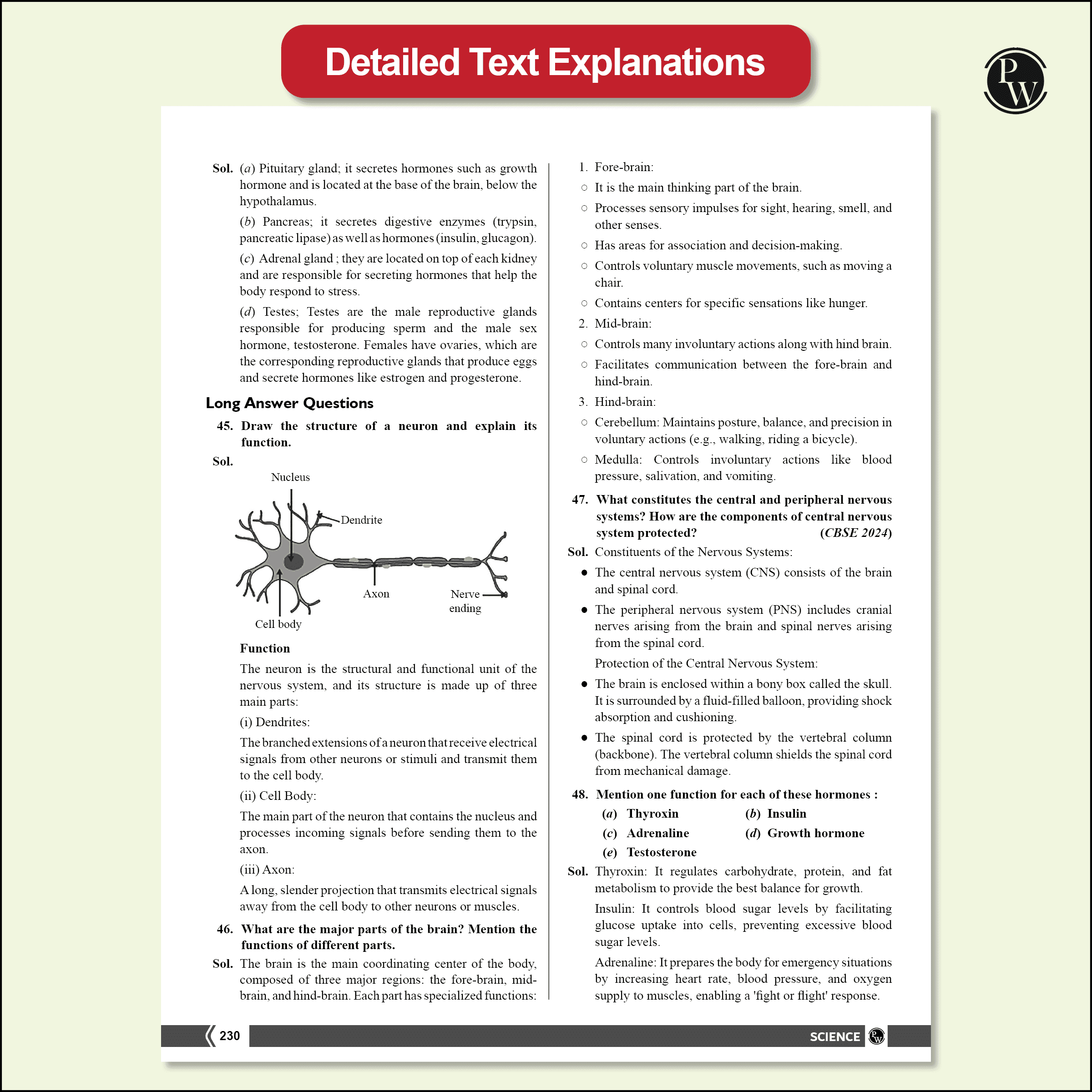 CBSE Class 10 NCERT Exemplar Problems Mathematics and Science with Text & Video Solutions | Chapterwise Mind Maps | PYQ Tagging | Rationalised NCERT Syllabus