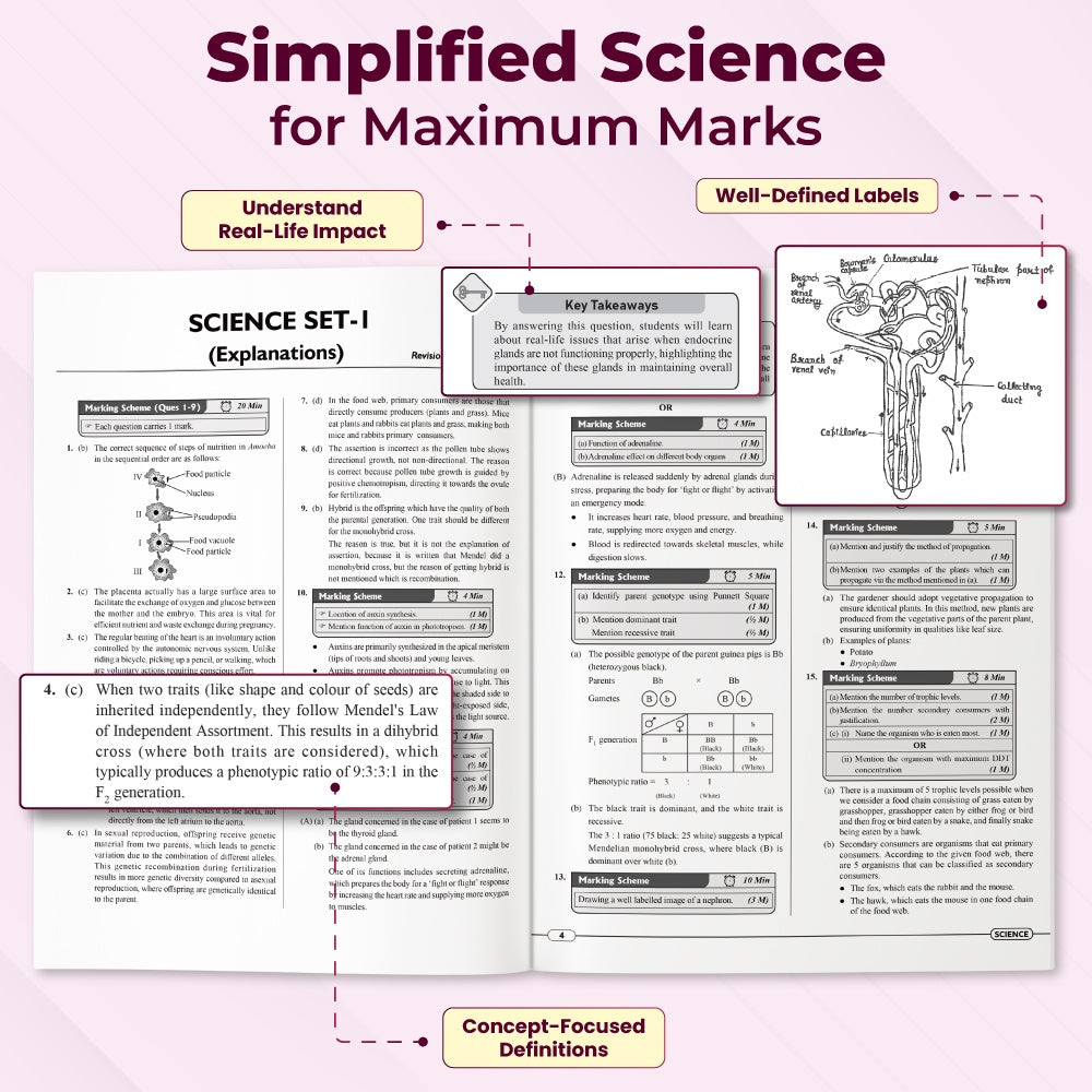 CBSE Class 10 - Real Feel Sample Papers 2026 with Set of 8 CBSE Like Questions and Answer Booklet Sheets with Solutions & Marking Scheme - Science, Maths (Std), Social Science, English