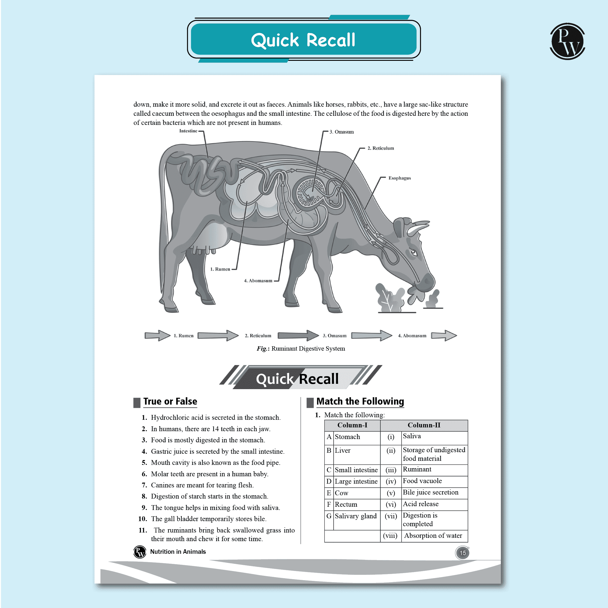 Junoon For Class 7 Science, Mathematics, Social Science, English, MAT Combo Set of 5 Books (2025 Edition)