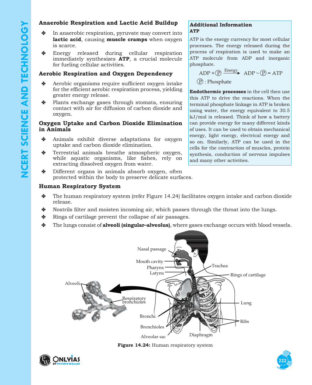 NCERT Summary Books | Workbook and Theory book | Chapter-wise Prelims and Mains Questions for Practice Set of 16 Books