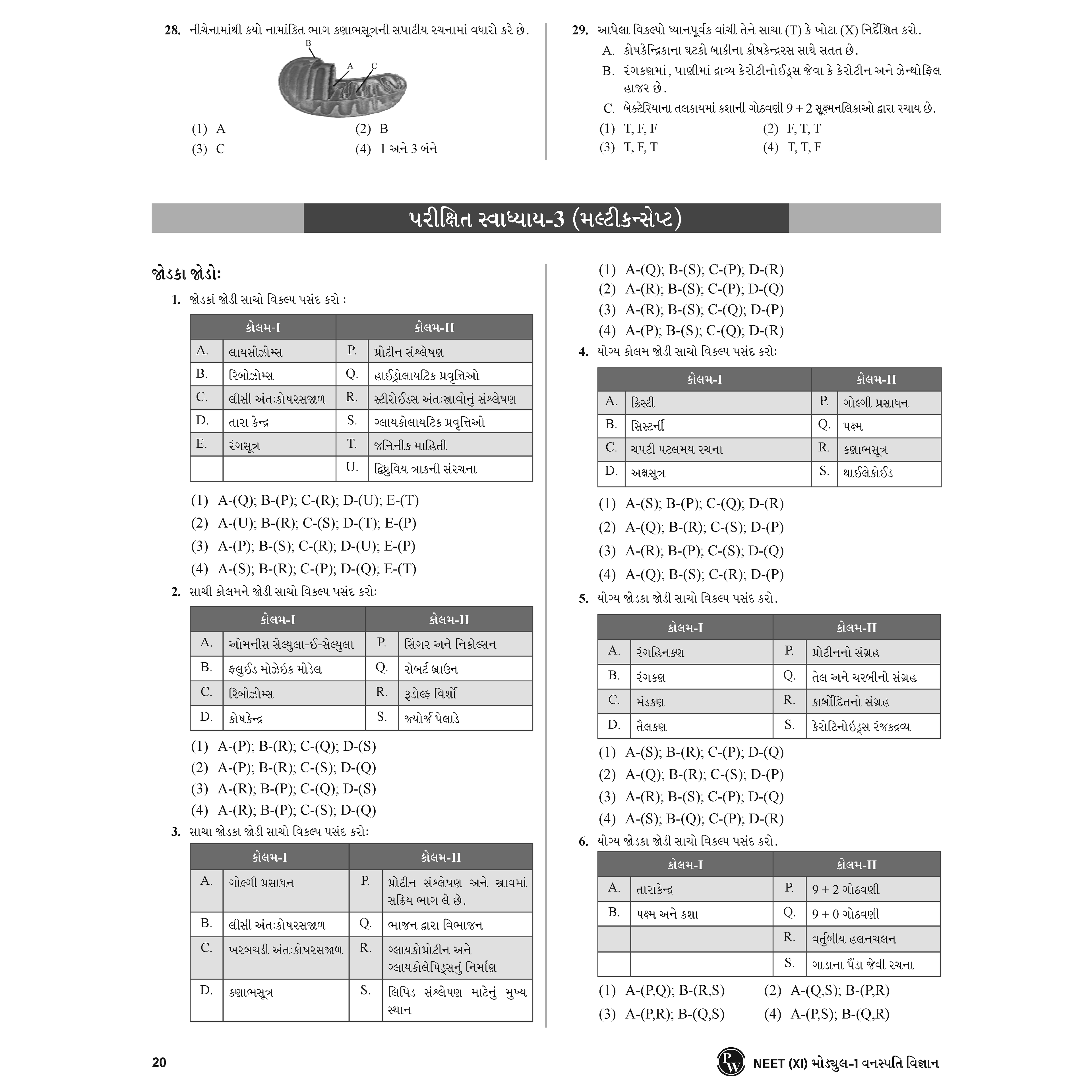Yakeen for NEET (Gujarati) Droppers Zoology updated Edition Combo Set of 4 Books